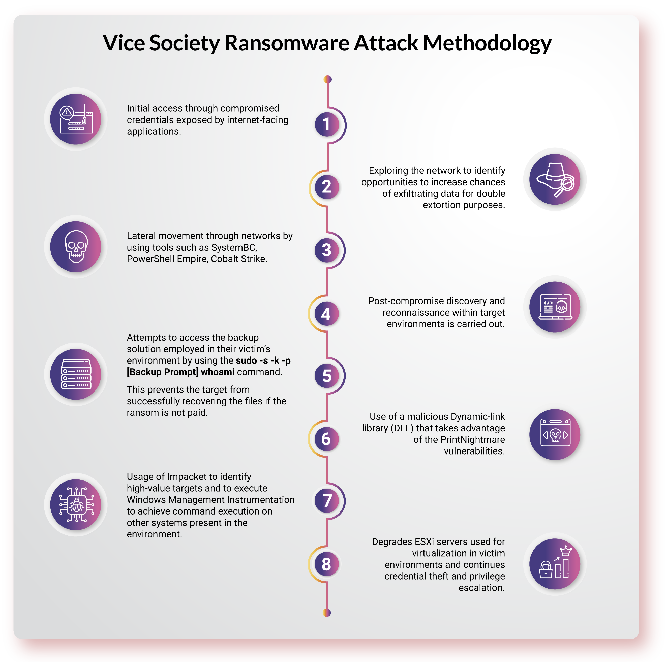 All About Vice Society's Attack Methodology